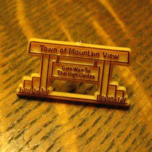 Town Of Mountain View Vintage Lapel Pin